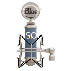 Ремонт Blue Bluebird